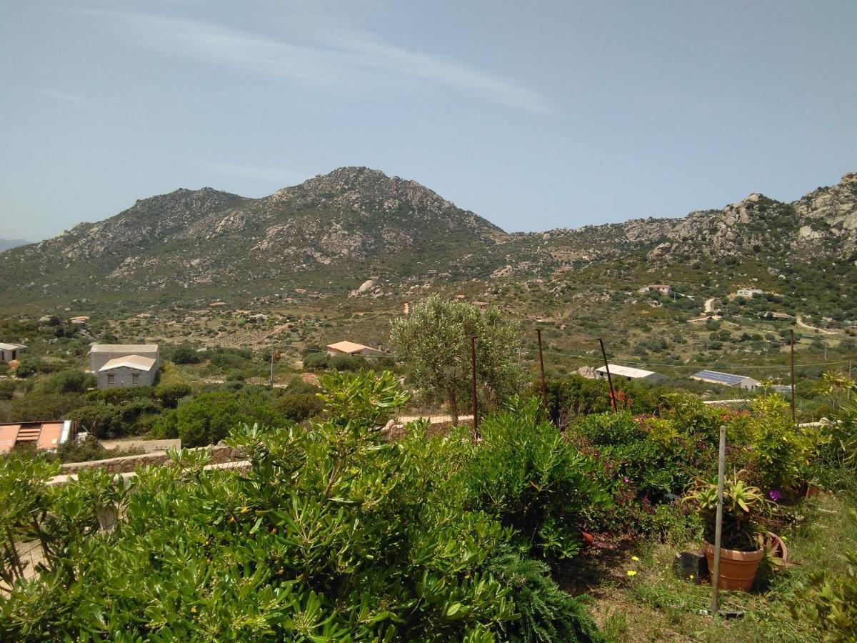 Villetta osseddu 2 Olbia Exteriör bild